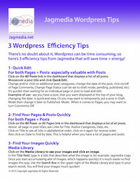 Jagmedia-Wordpress-Tips-preview