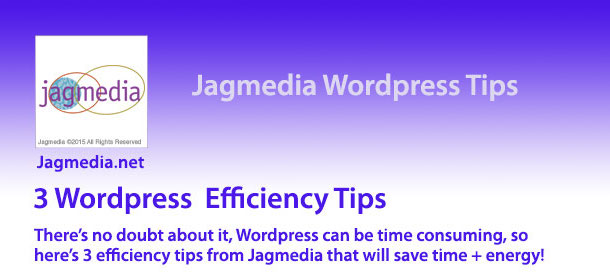 Need WordPress Help? Get Your Free Download from Jagmedia!