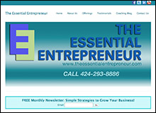 The Essential Entrepreneur