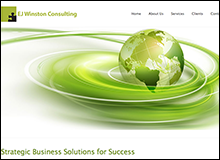 EJ Winston Consulting